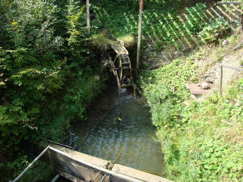 1391679_497877290310374_405623652_n