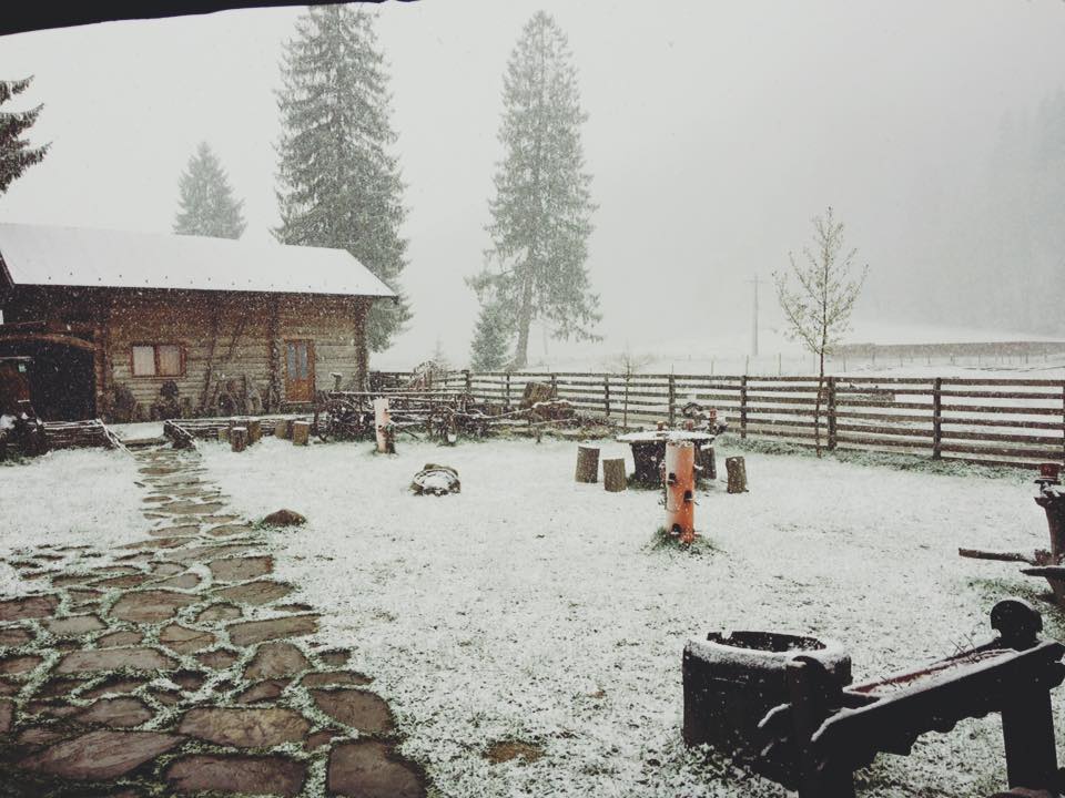 18033113_1262943230470439_7482737806954866262_n