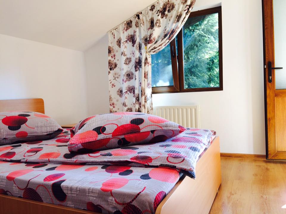 21462505_1406537676110993_6106698283346178310_n