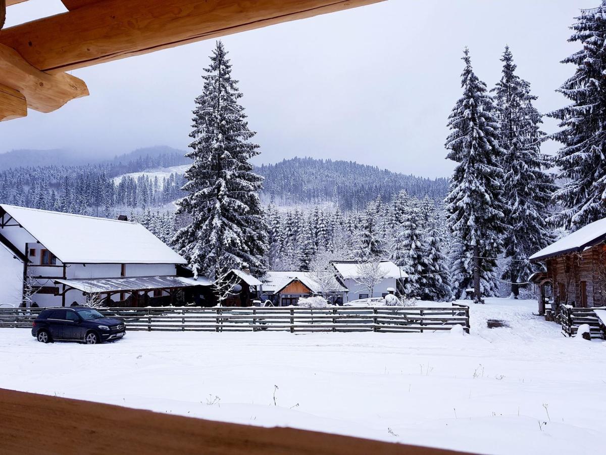 24210110_1480194022078691_7702614134381459279_o