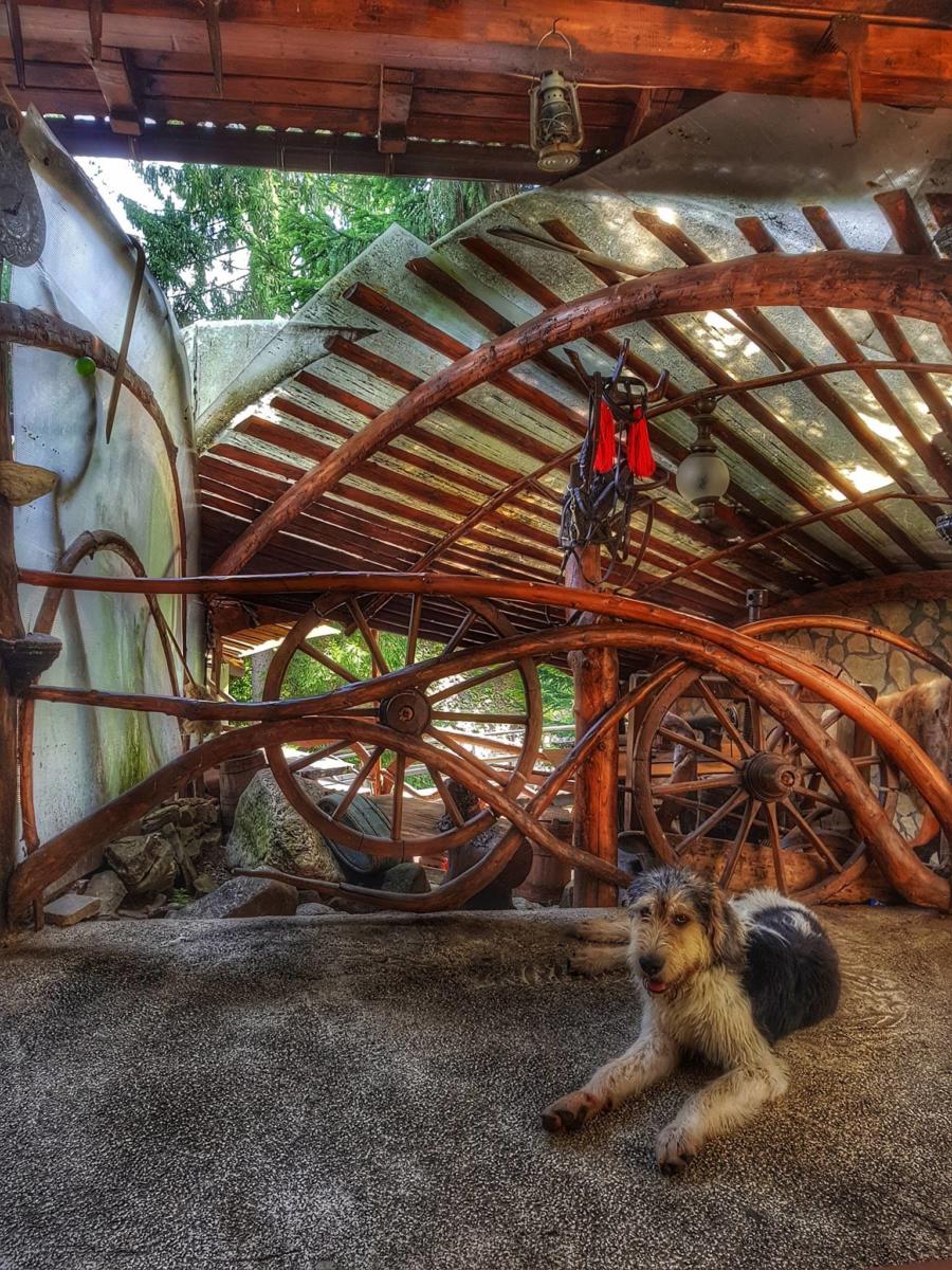 40486184_1798476920250398_5336277083213529088_o